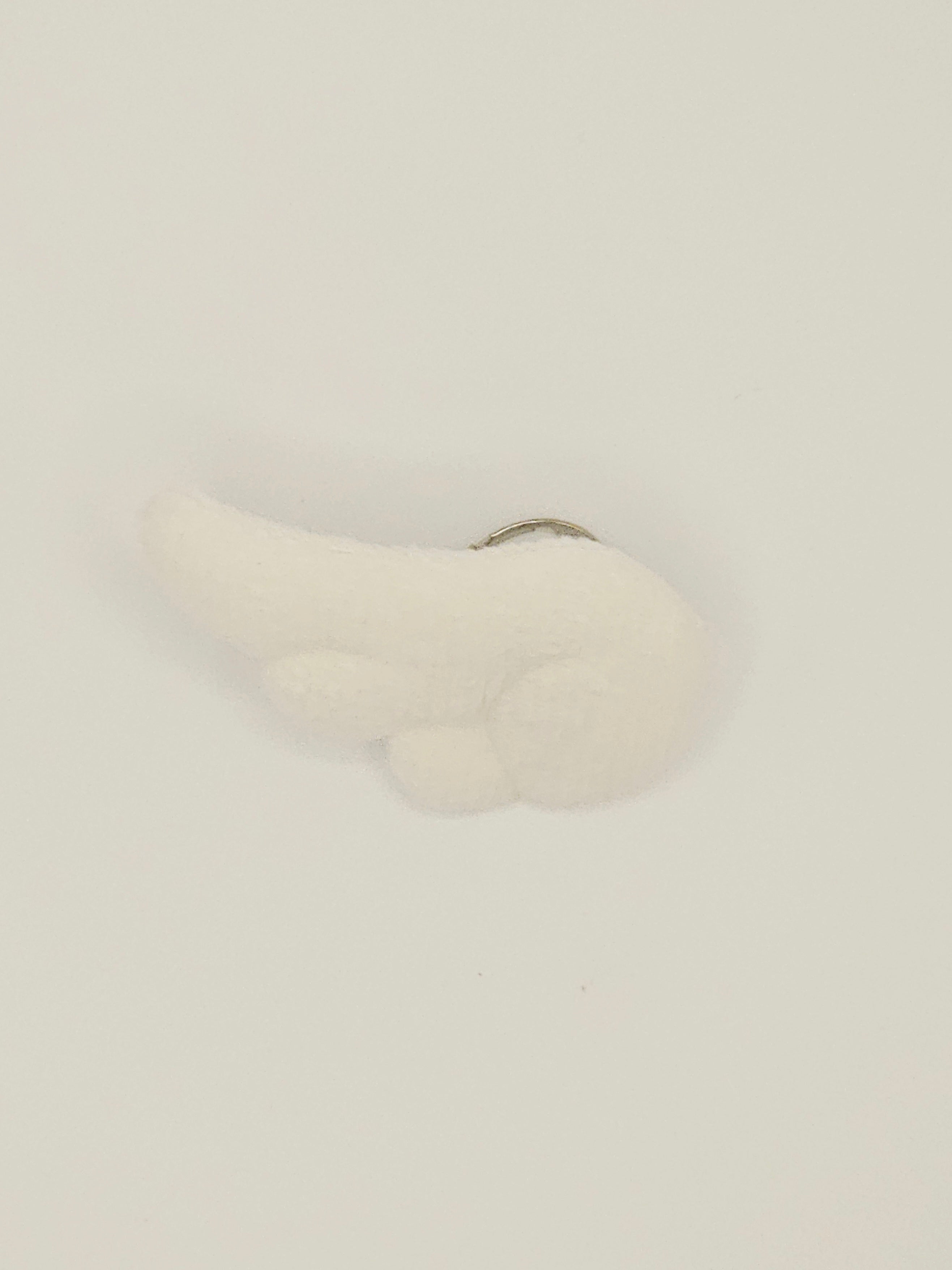 Left Wing Ring